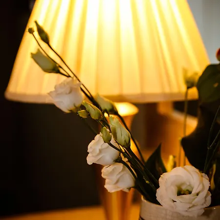 Avalon House 4* Castlecomer