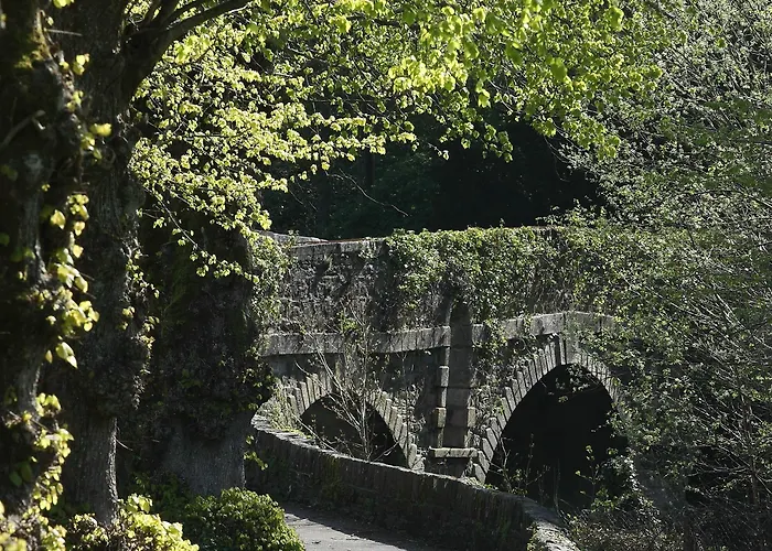 Avalon House Hotel Castlecomer