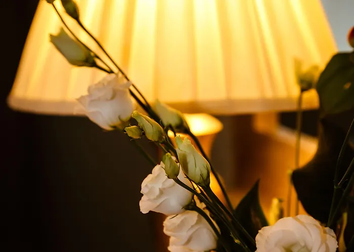 Avalon House 4* Castlecomer